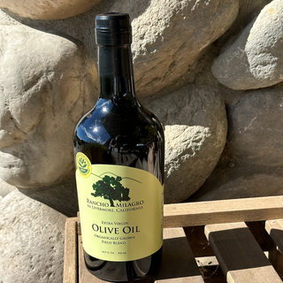 Dark glass bottle of olive oil against a stone wall.