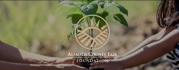 Tasting for Winner of Alameda County Fair Foundation's Garden Party auction 