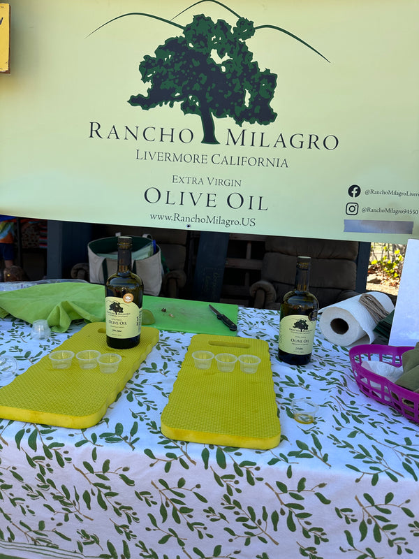 Limited Edition (2024) release 