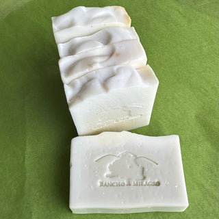 A rectangular bar of soap embossed with the Rancho Milagro logo (3 hills, the big oak, and the words Rancho Milagro), facing up. Three more bars are lined up behind, their wavy tops are visible.