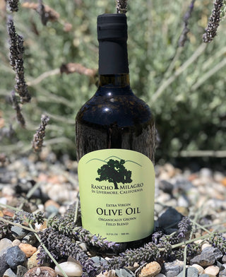 Dark bottle of extra virgin olive oil resting on rocks with stalks of lavender beneath and behind